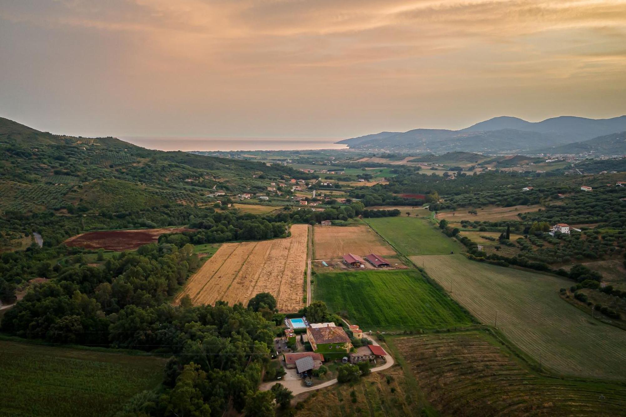 Agriturismo La Petrosa Ceraso Exterior photo